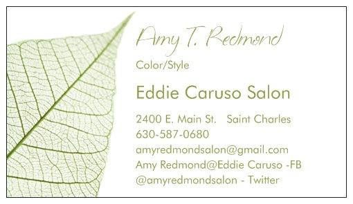 Appointments Amy T. Redmond Eddie Caruso